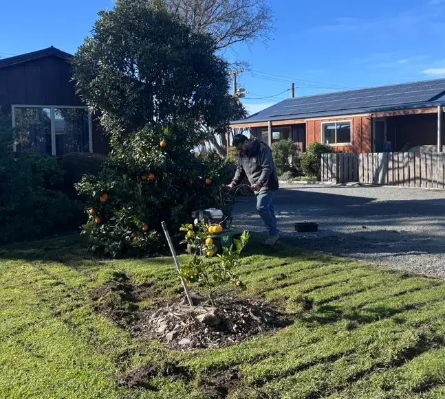Turf-Cutter-Lawn-Prep-Earthworks-Hard-Landscaping-Hawkes-Bay